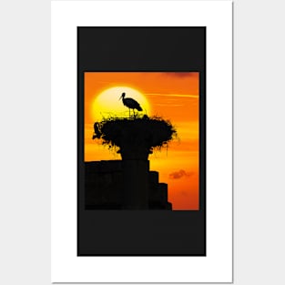 Volubilis Stork. Posters and Art